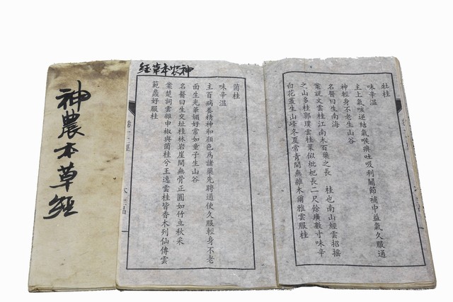 桂芝黄芪五物汤治脑梗吗,黄芪桂枝五物汤脑血栓