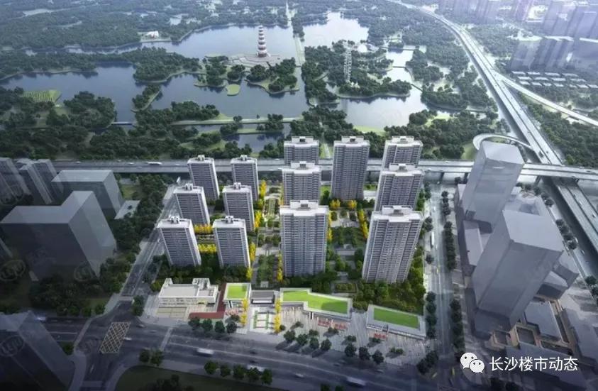 梅溪湖天花板,洋湖江景豪宅的天花板