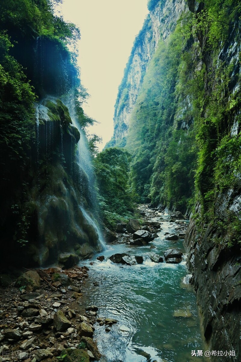 重庆周边亲子游必去十大景点,重庆合川周边旅游景点推荐自驾