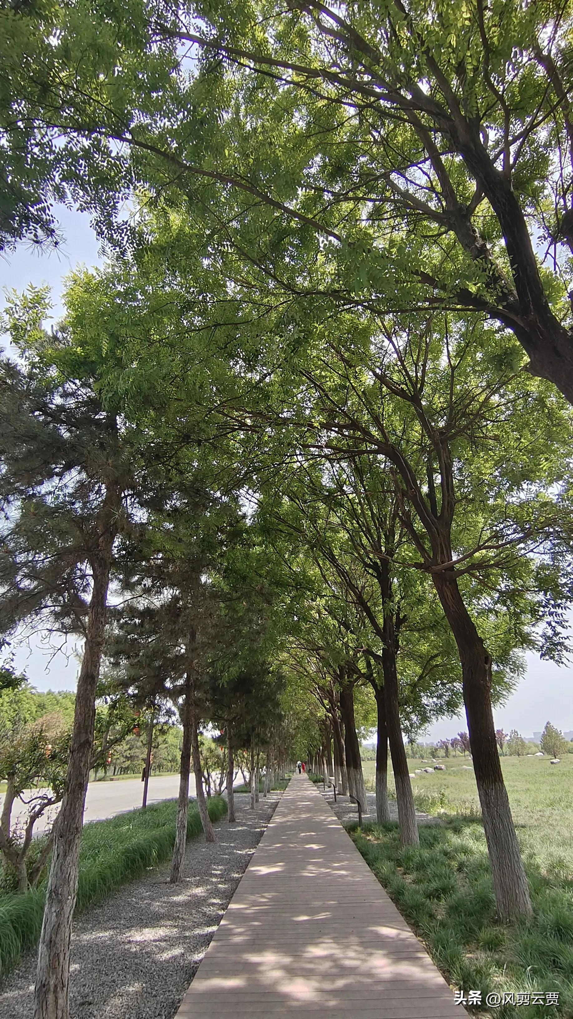 当你被人嘲笑和讽刺时你会怎么做,别人歧视你时你怎么反驳