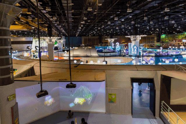 香港新晋的明星,现身厦门的香港明星