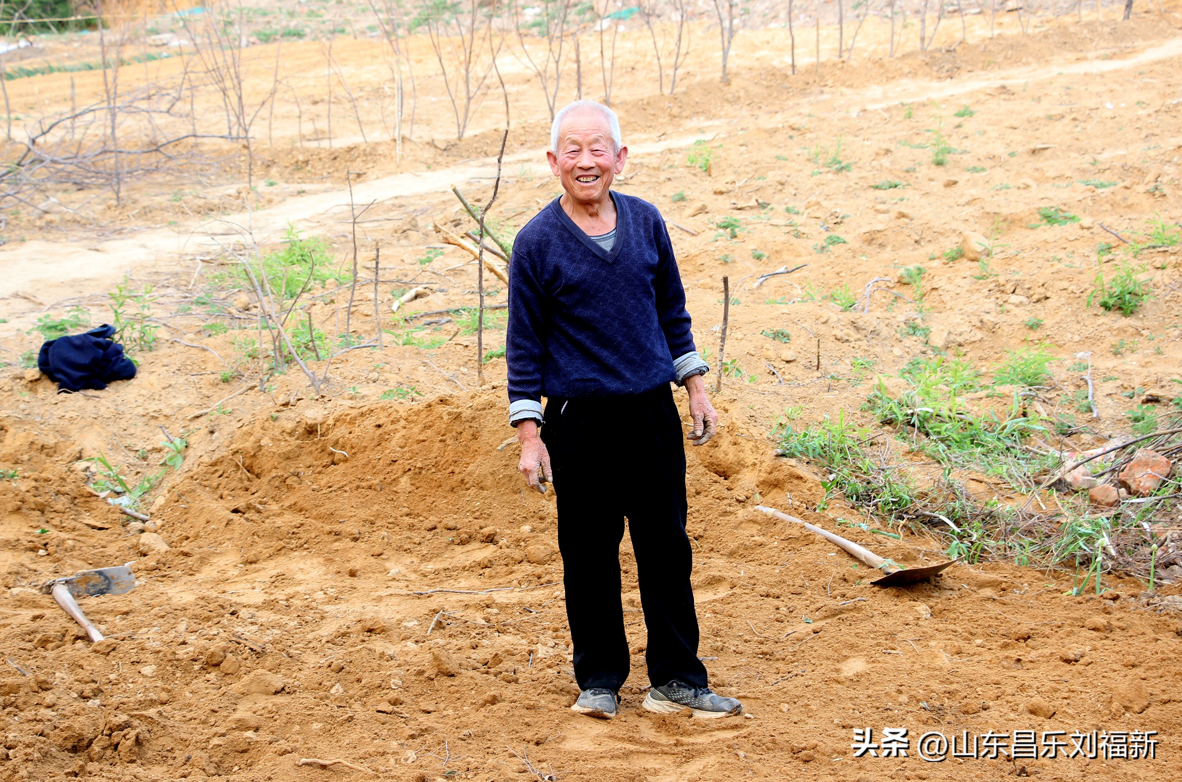 洋槐花·万马奔腾电器·鄌郚医院贴膏药