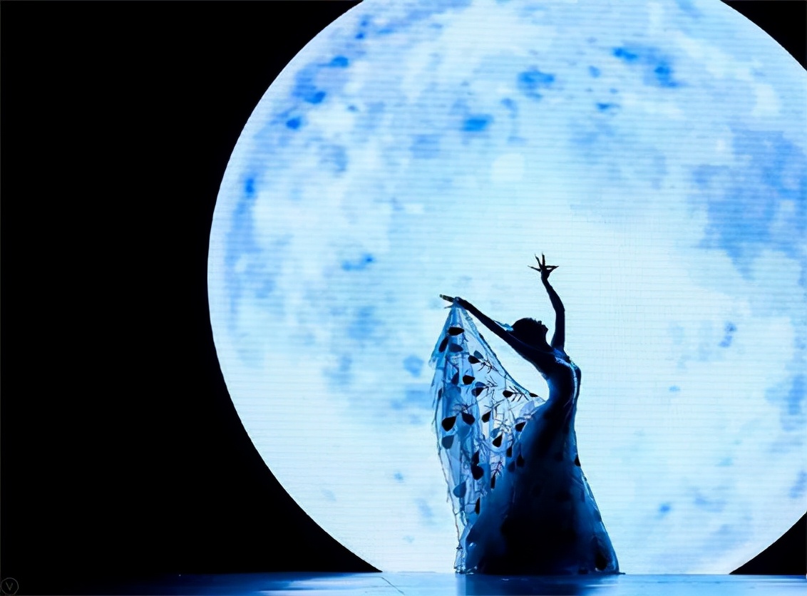 给孩子报名舞蹈班有几种舞种,成人零基础学舞蹈适合哪个舞种