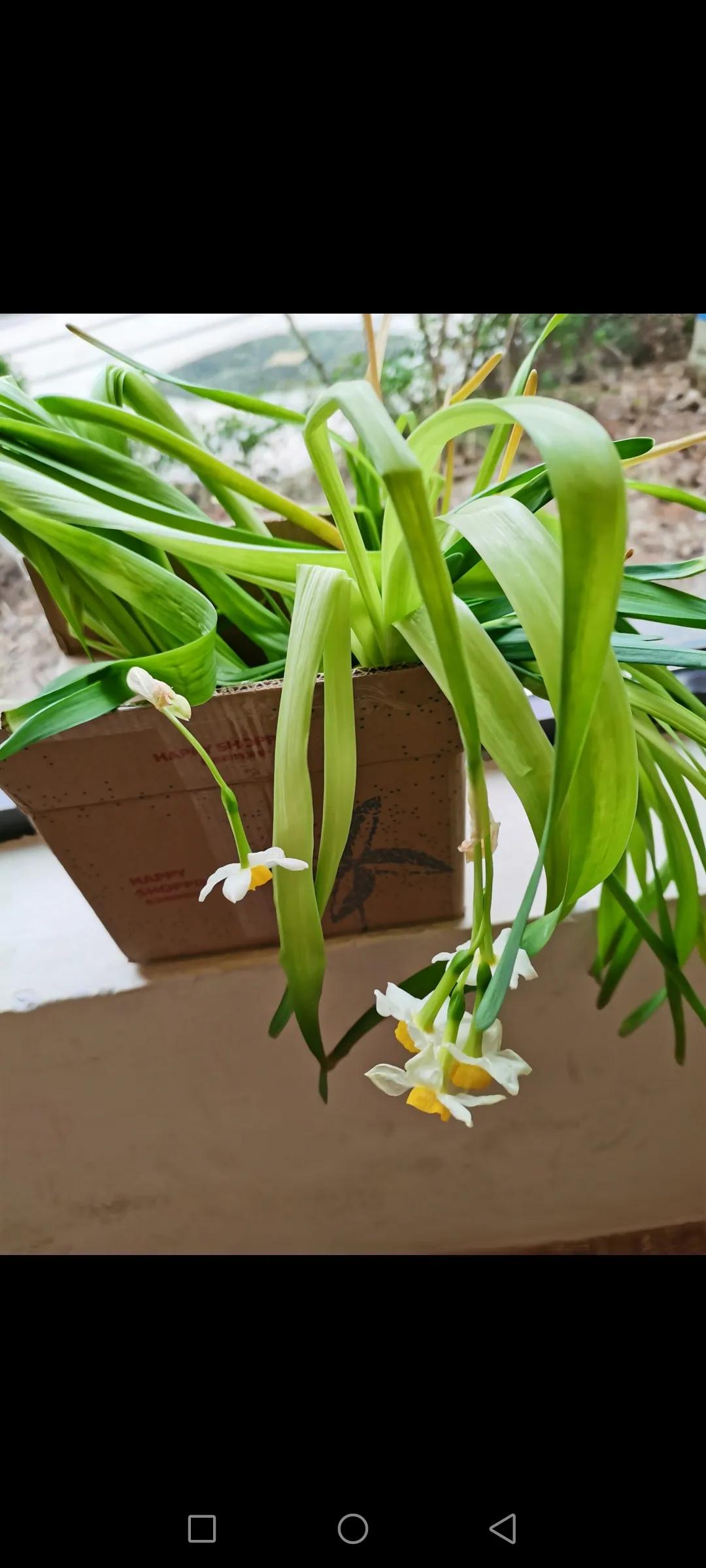 开始买盐,开始是拒绝最后变成了享受