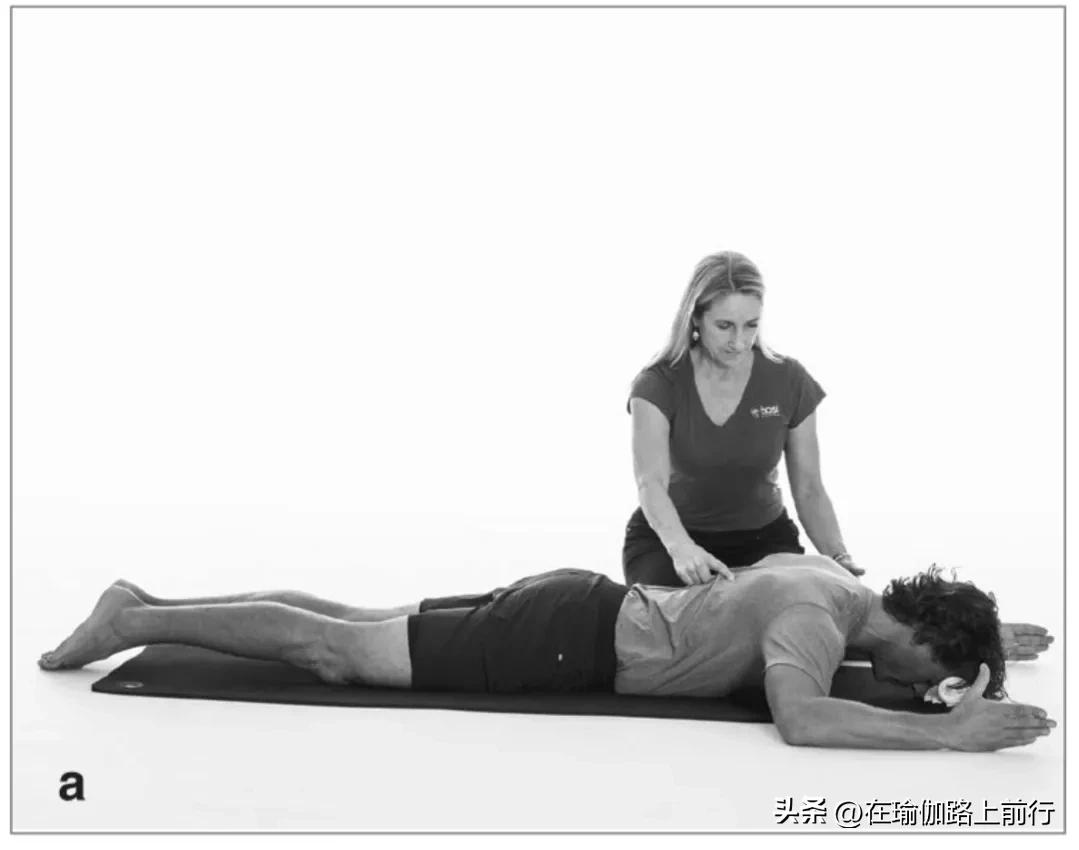 背肌伸展普拉提,普拉提练肩背15天