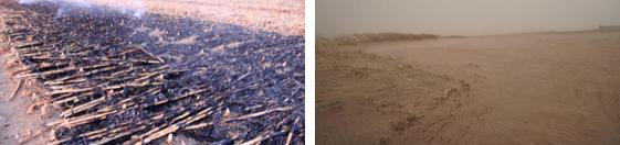 保护东北黑土的建议,保护黑土地端好中国饭碗