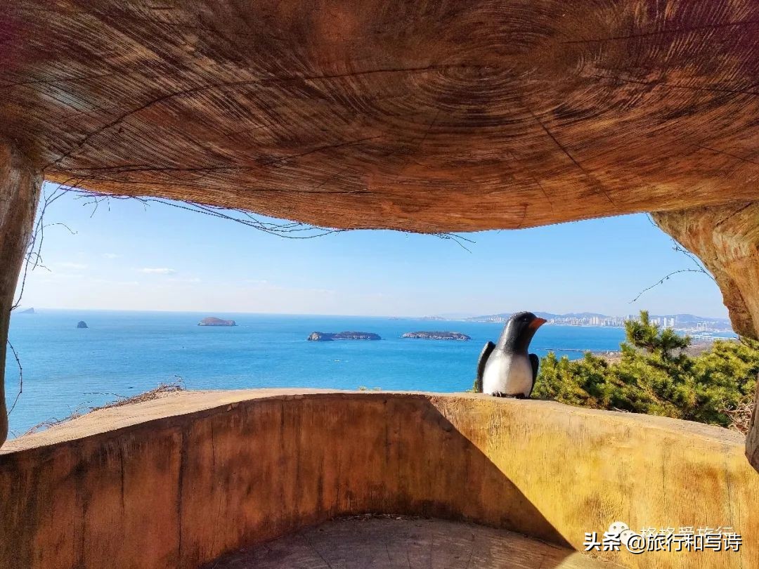 大连十大网红打卡圣地一网打尽,大连新晋网红打卡地东西价格