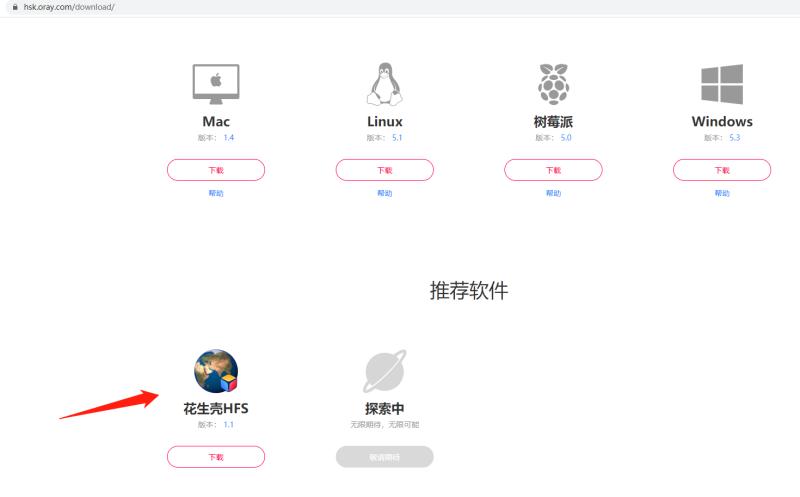 花生壳hfs,hfs自己搭建内网网盘