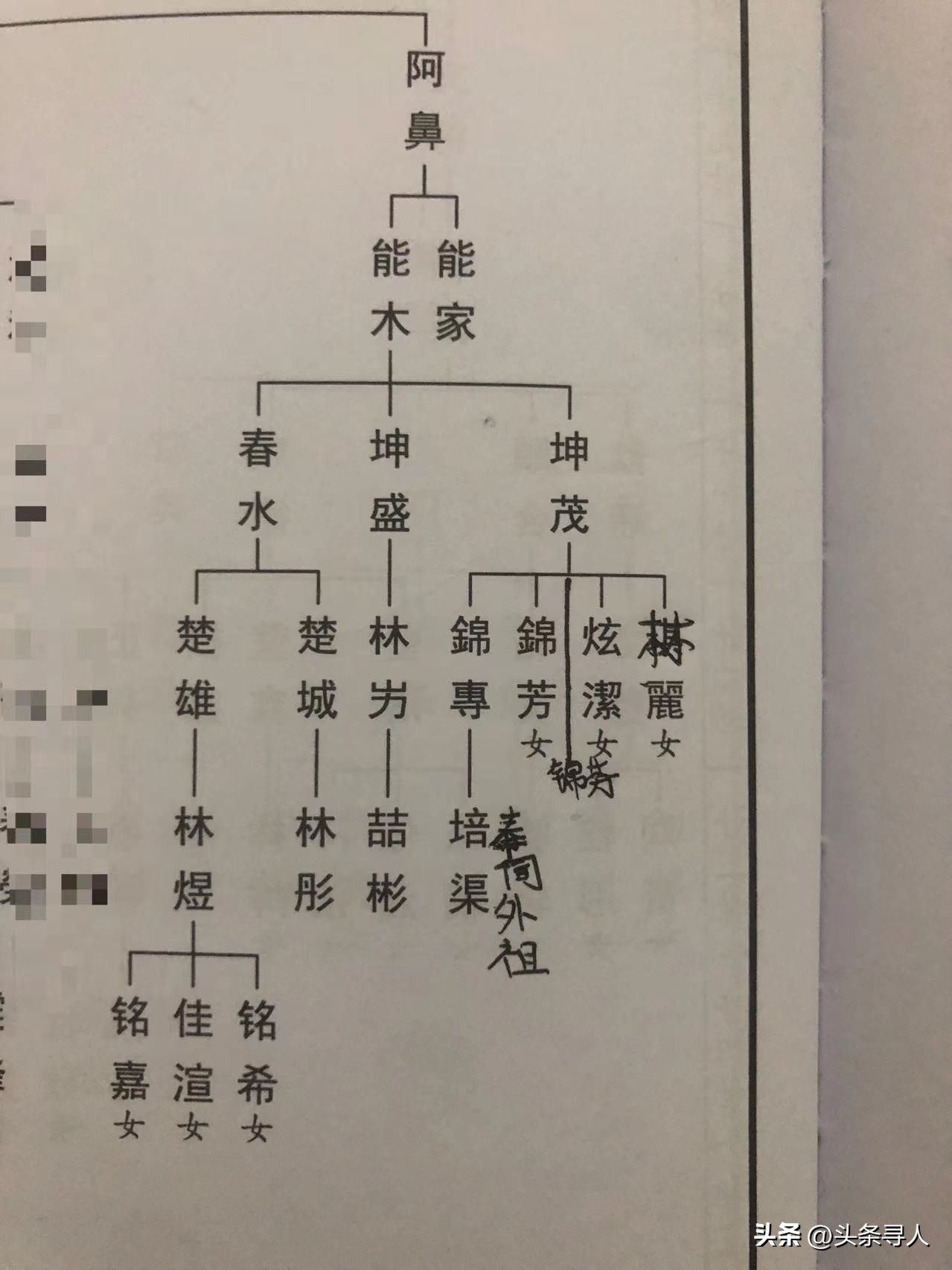 寻找早年过番泰国的林龙家，汕头老家亲人等你们回家