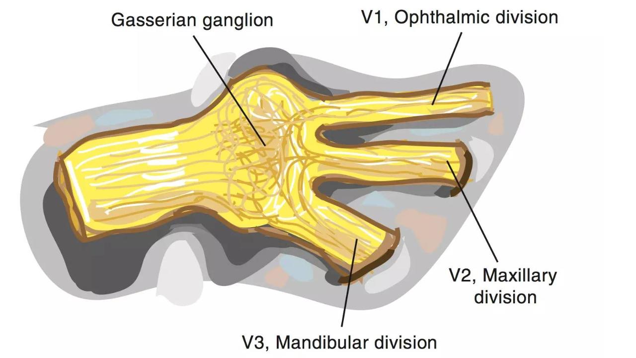 世上最痛的几种病，疼痛程度不亚于古代酷刑，经历过的都是超人