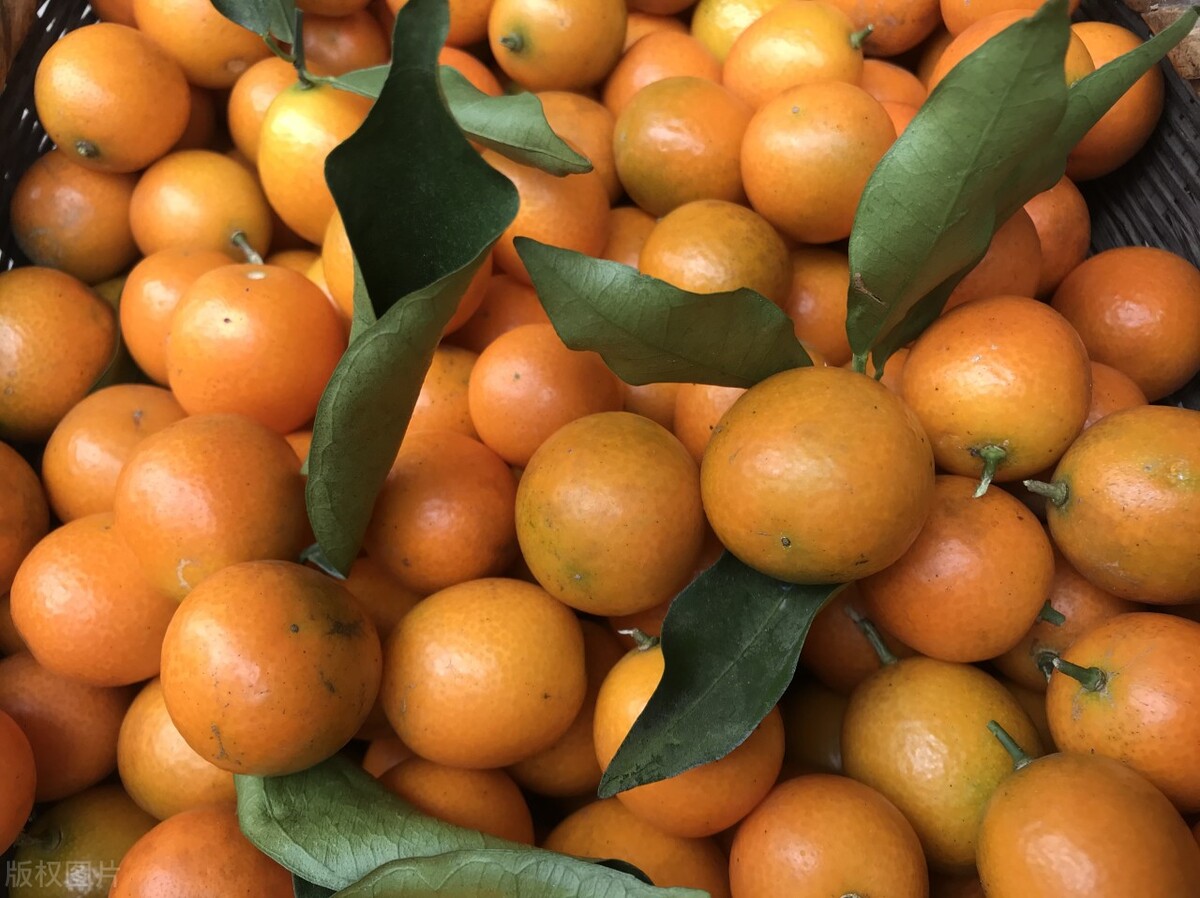 广西2021年上半年广西gdp各市排名,广西的经济发展状况和前景