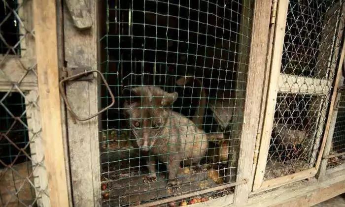 手冲咖啡器具入门指南,关于咖啡你不知道的知识