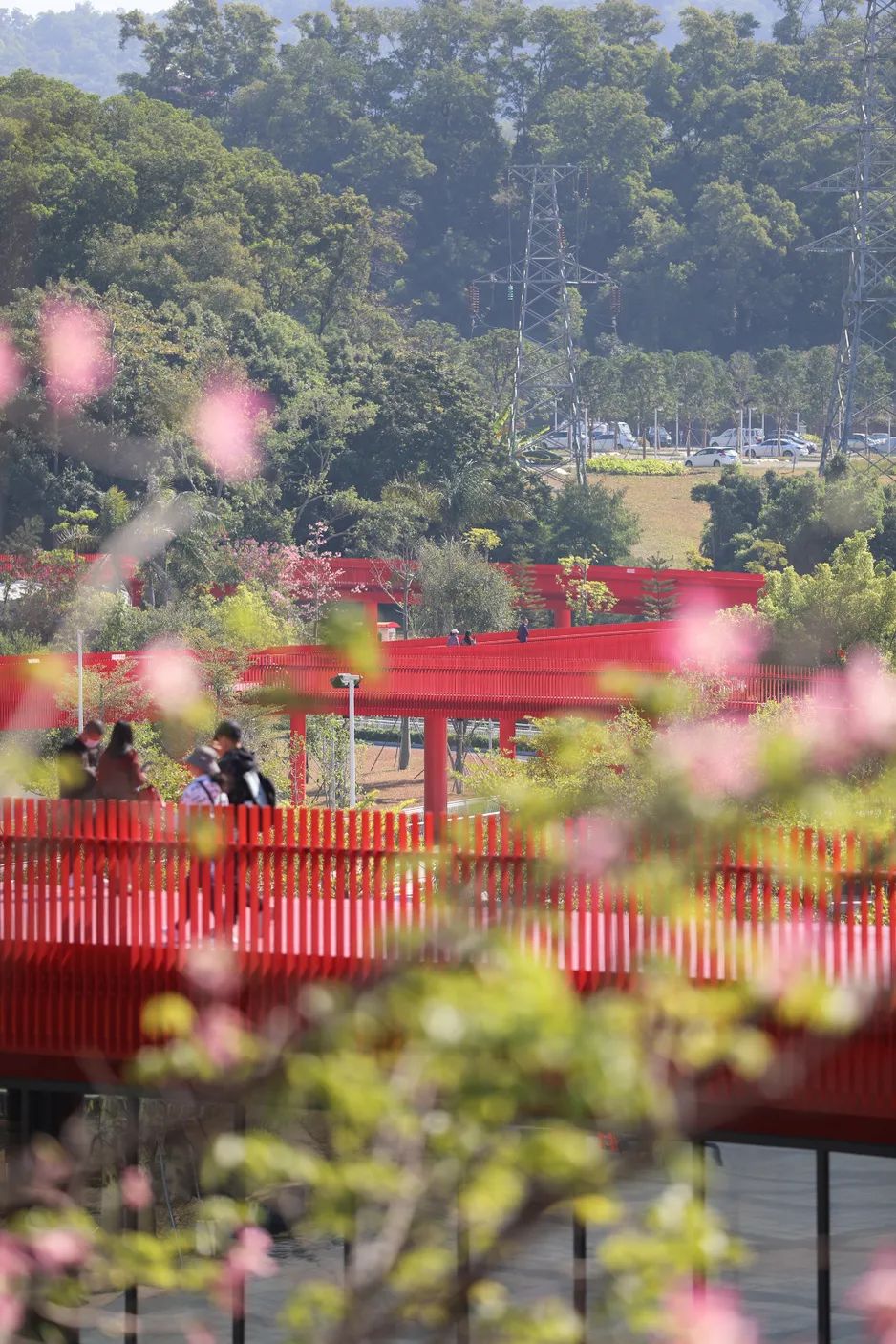 徒步露营带什么好吃的美食,旅行美食露营总有一款能治愈