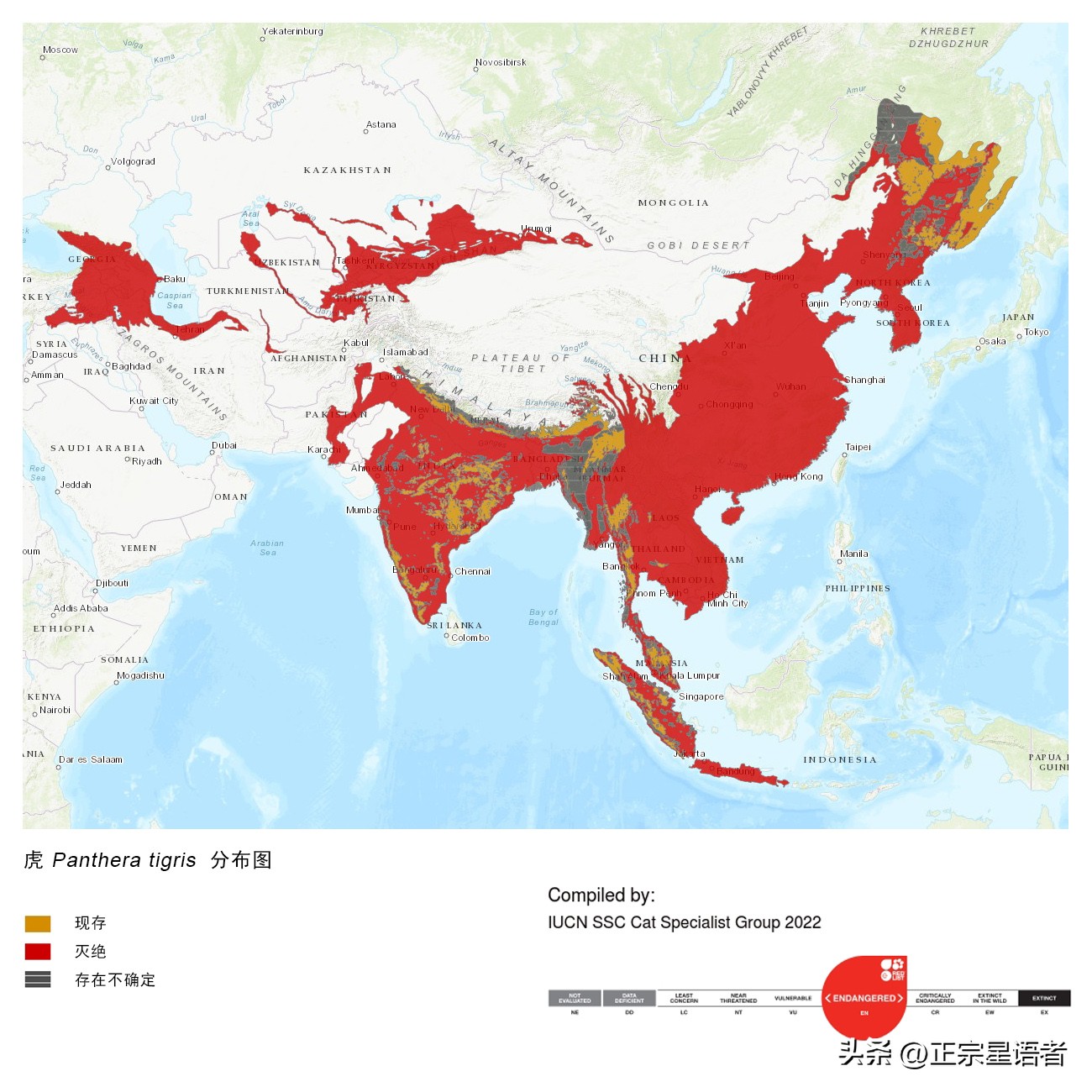 全球老虎数量增加,全球虎还剩多少