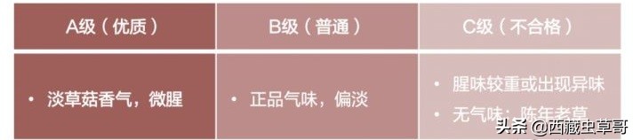 御草集虫草是真的假的,御草集冬虫夏草种植