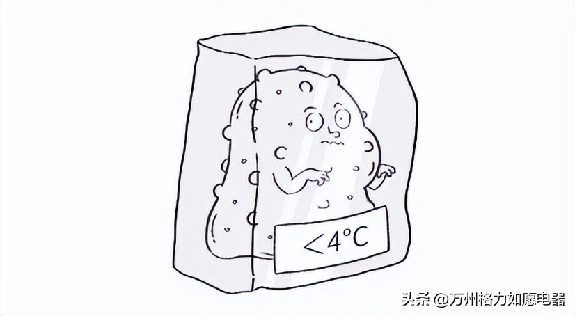 剩菜放冰箱里好还是不放冰箱好,剩菜放置