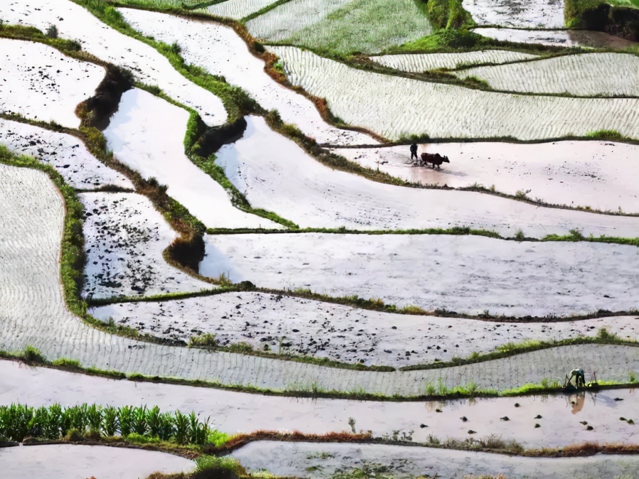 一生必去的村落,仙居公盂古村