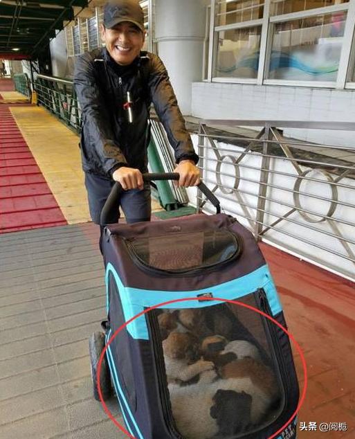 李健康辉为什么都是丁克,康辉李健丁克一族视频