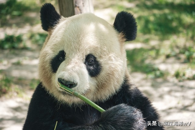 上海最值得去的打卡地,上海必去的打卡地合集