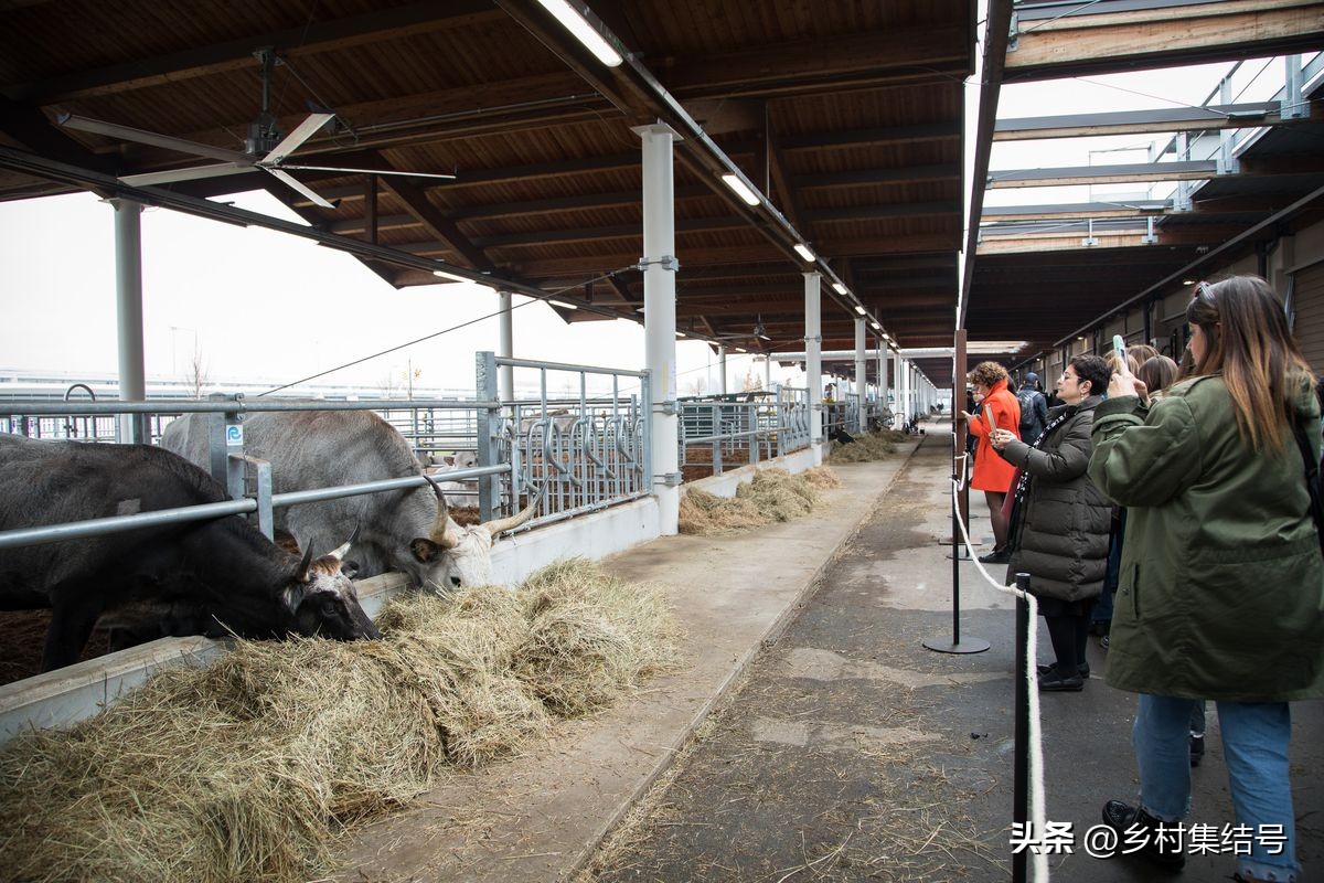 农旅之最世界最成功的农业公园,比较出名的农业主题公园