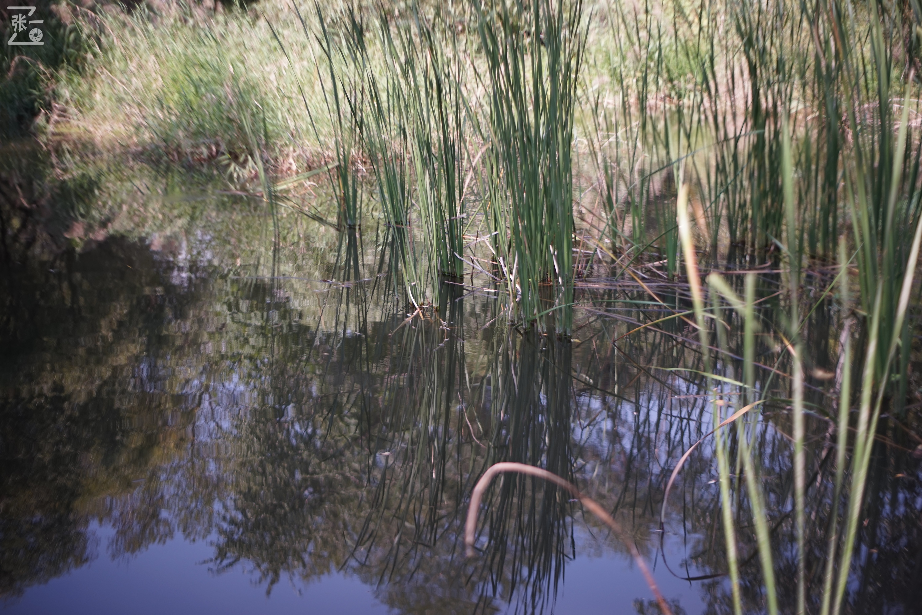 老镜头实拍,老镜头拍北京
