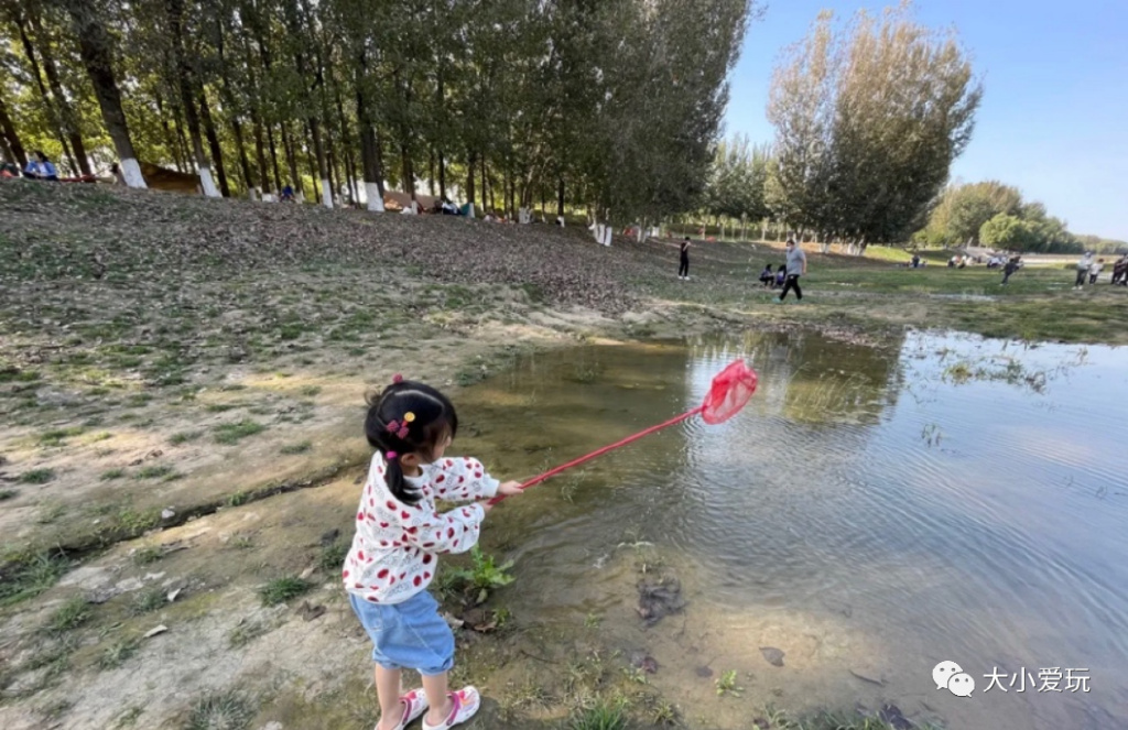 滨河公园带娃玩水,推荐一个好地方滨河公园