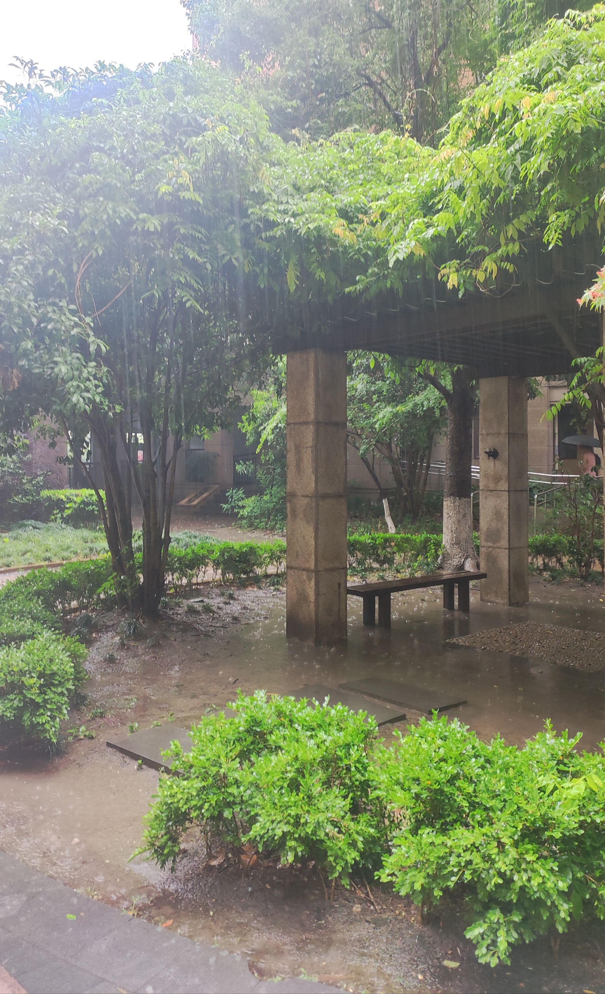 正式入夏！湖州今年夏季高温天会多吗？