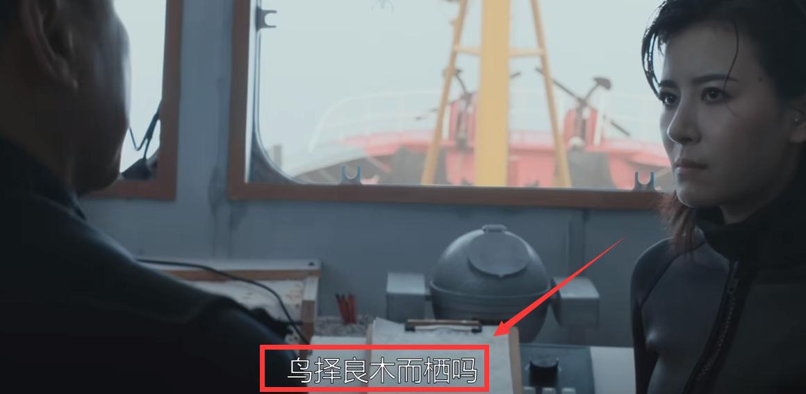 陈小春为何拍烂片,陈小春为什么拍烂片