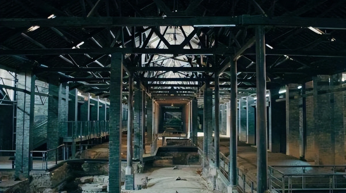 微生物菌群最新研究进展,一号菌群科研新成果