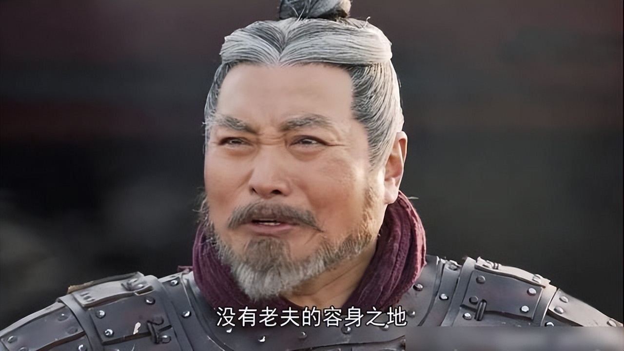 廉颇叛国投敌之谜,廉颇晚年最后结局