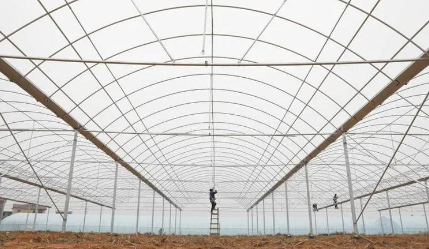 农村小伙创业养青蛙,打工小伙养殖青蛙