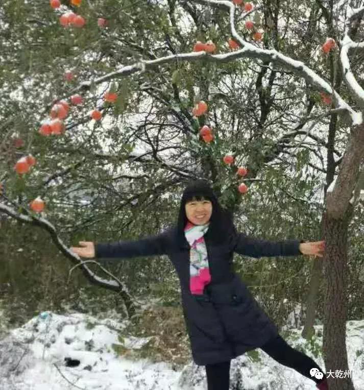 我的黄土地,我的黄土地歌词完整版