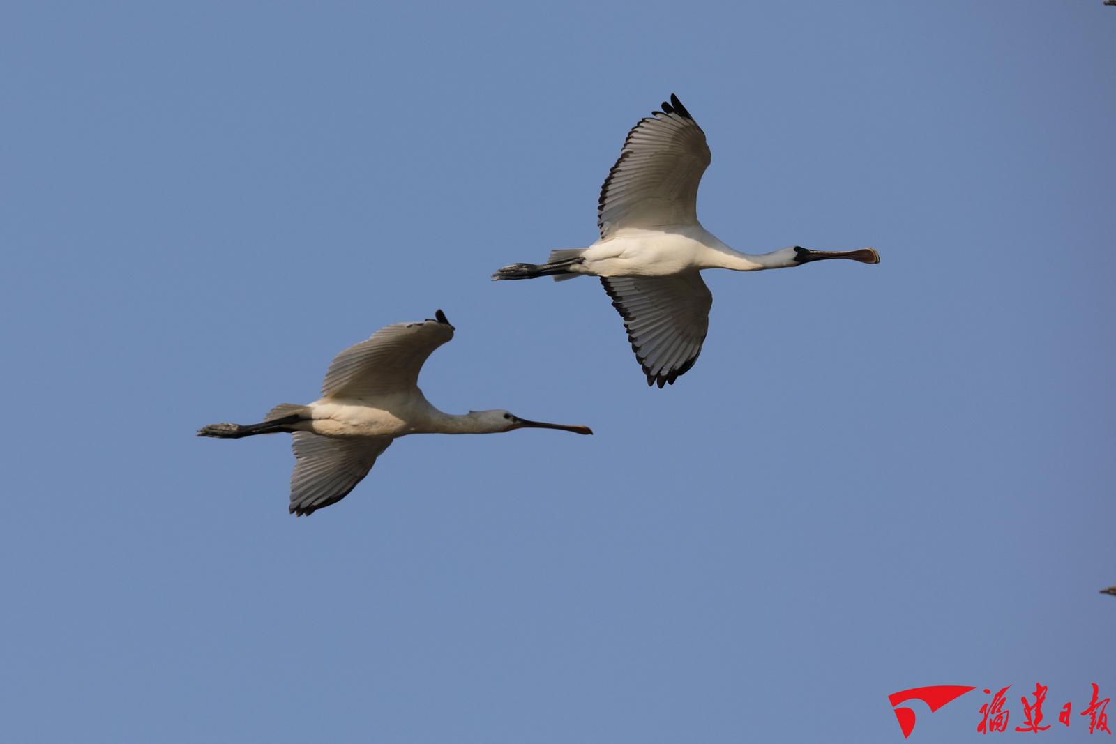 福建省集中整治四个方面,福建省集中整治