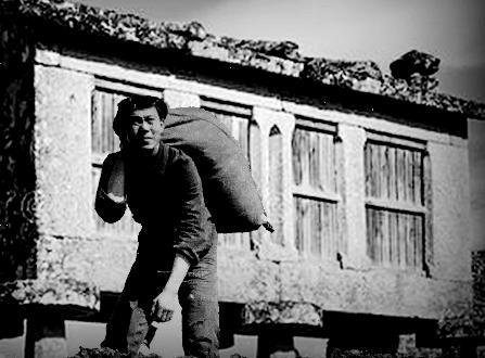 中国知青轶事,知青轶事之四