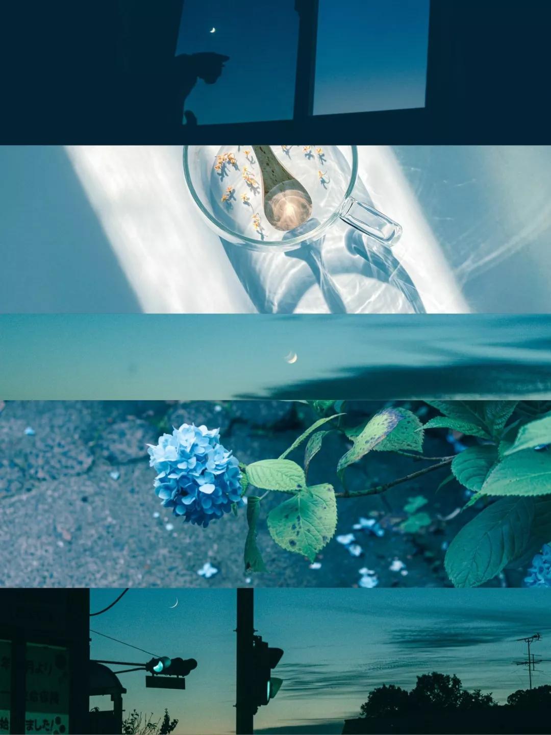 这封信，写给我们的2022---书影单推荐来啦