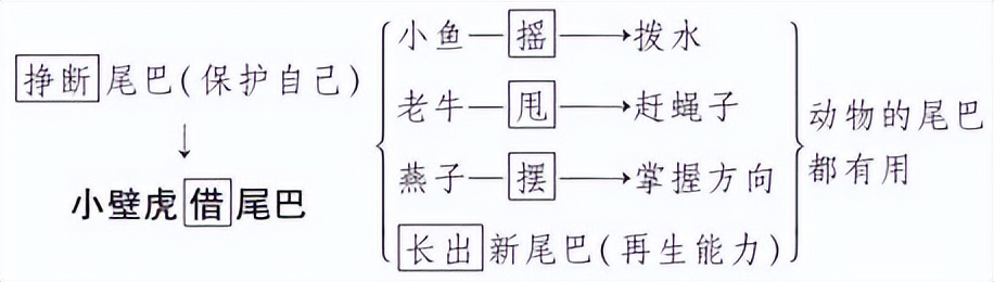 一年级下册语文壁虎借尾巴课件,小壁虎借尾巴一年级下册