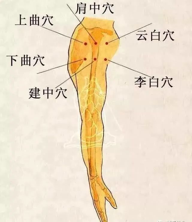 泌尿系疾病针灸,泌尿系统感染针灸哪里最有效