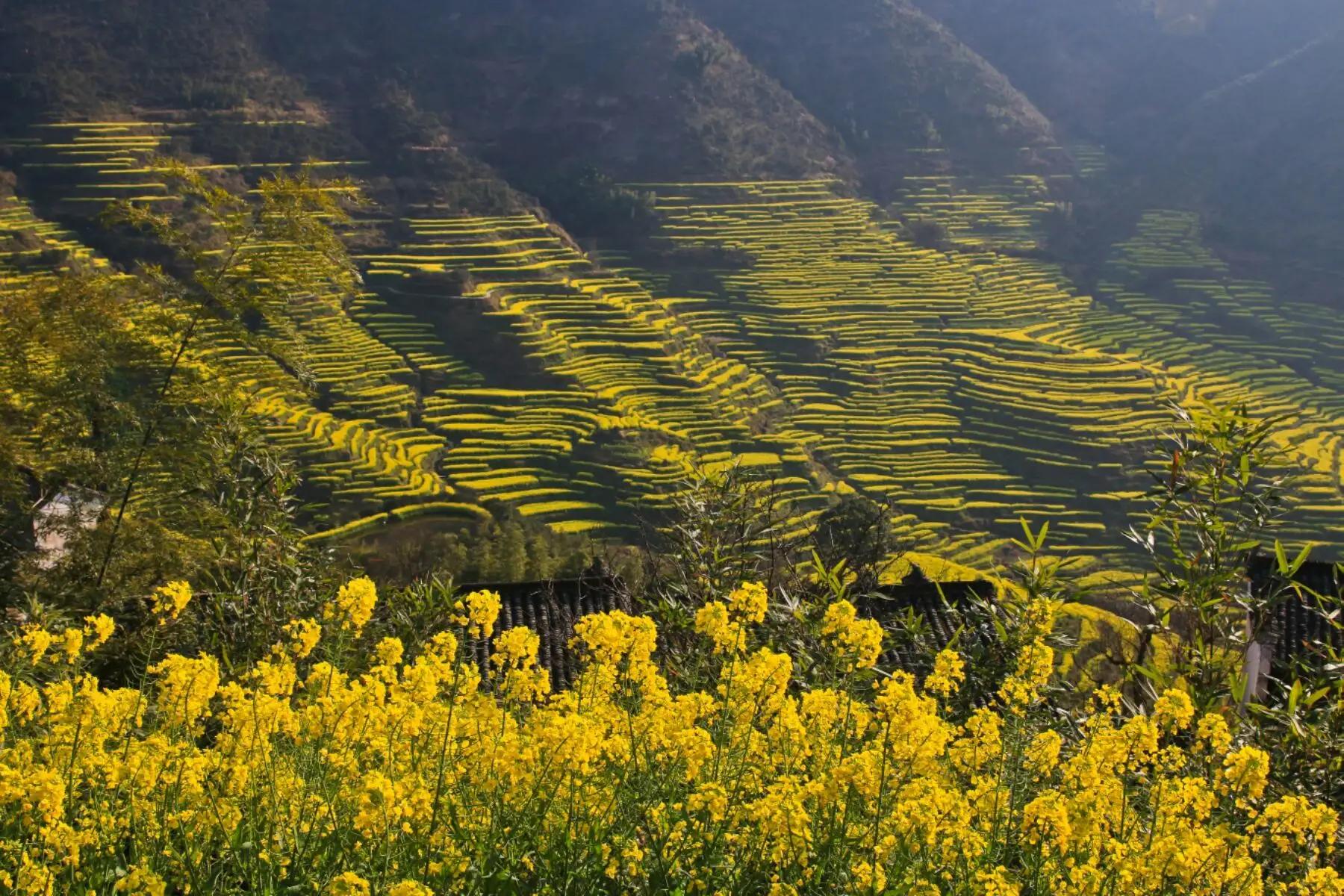 贫穷落后的小山村逆袭,靠旅游致富的古村落