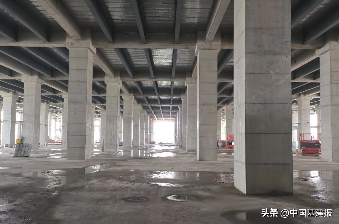 2022年国家骨干冷链物流基地建设,冷链物流园区包括哪些项目