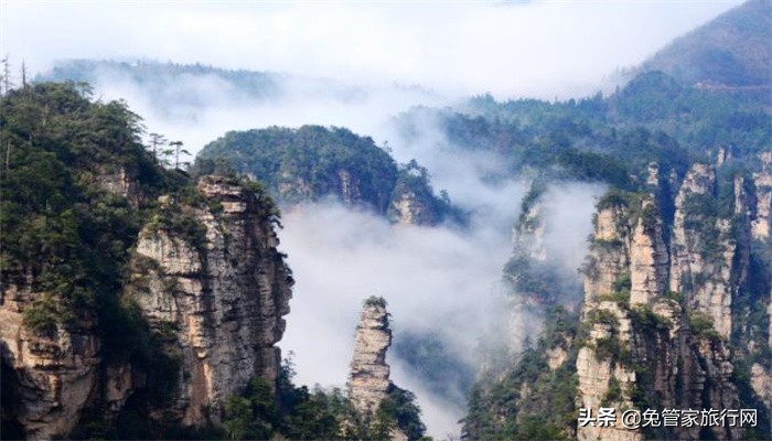 黄山云海好看还是张家界云海好看,下雨天张家界旅游带什么