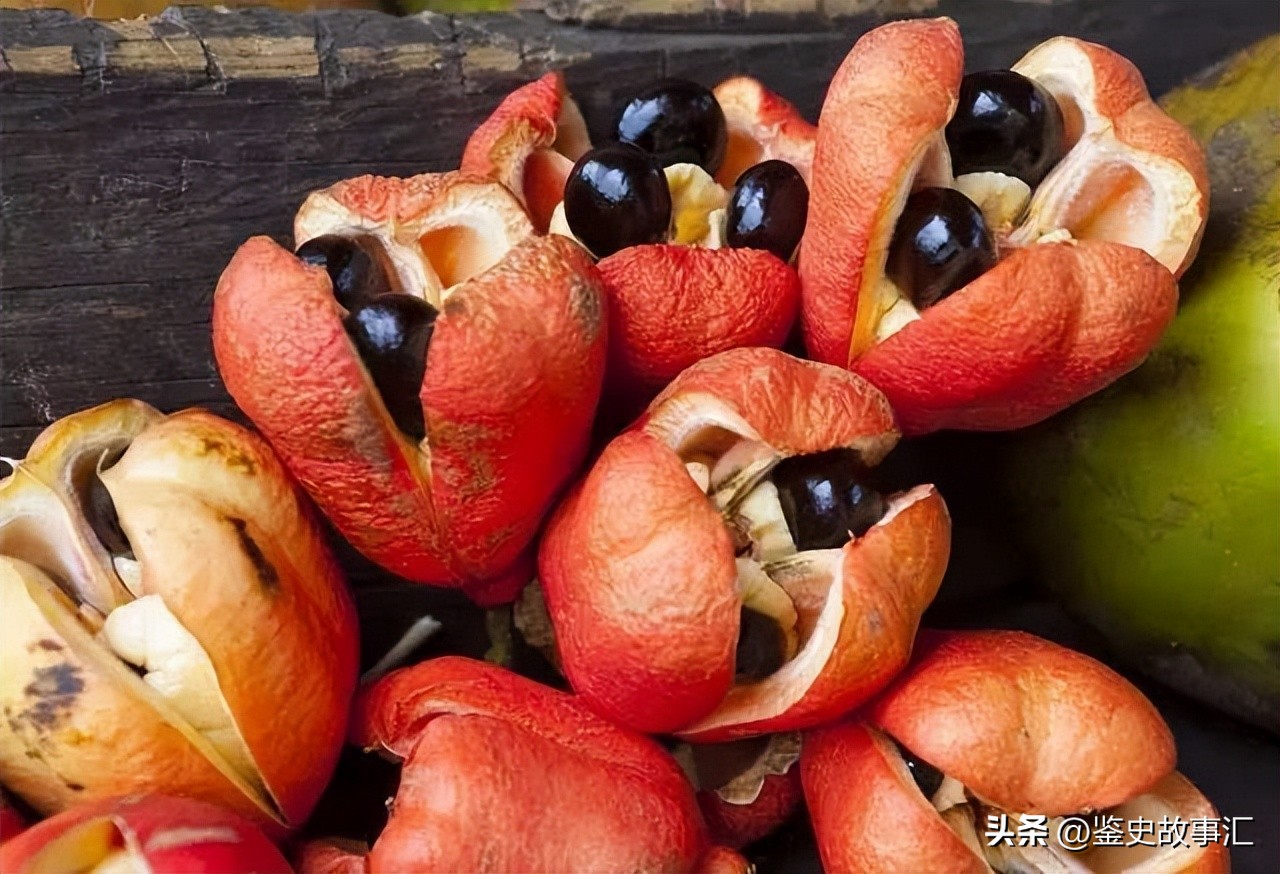 博尔特的牙买加的地方有多大,博尔特在牙买加的哪个地方