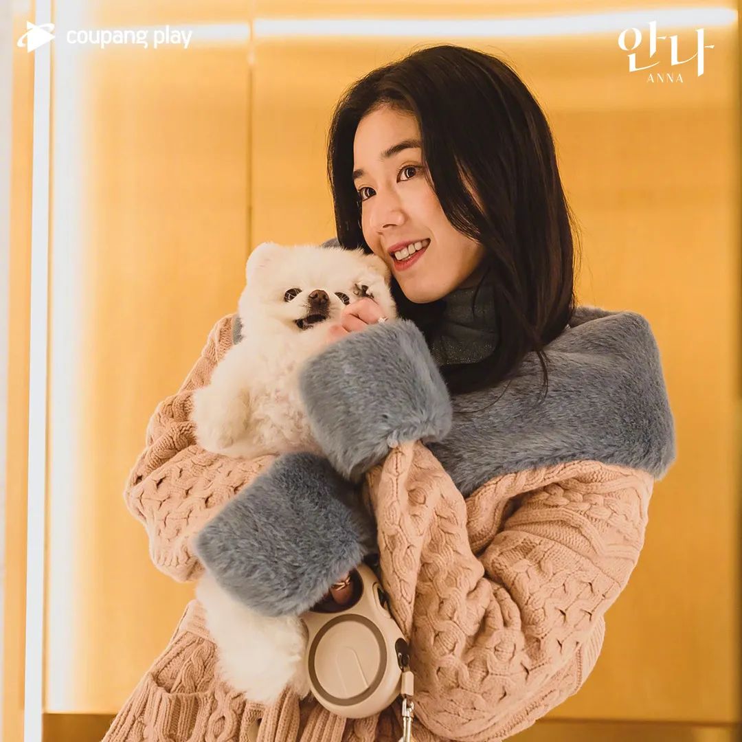 真假安娜身份被揭穿,真假安娜韩剧哪里看