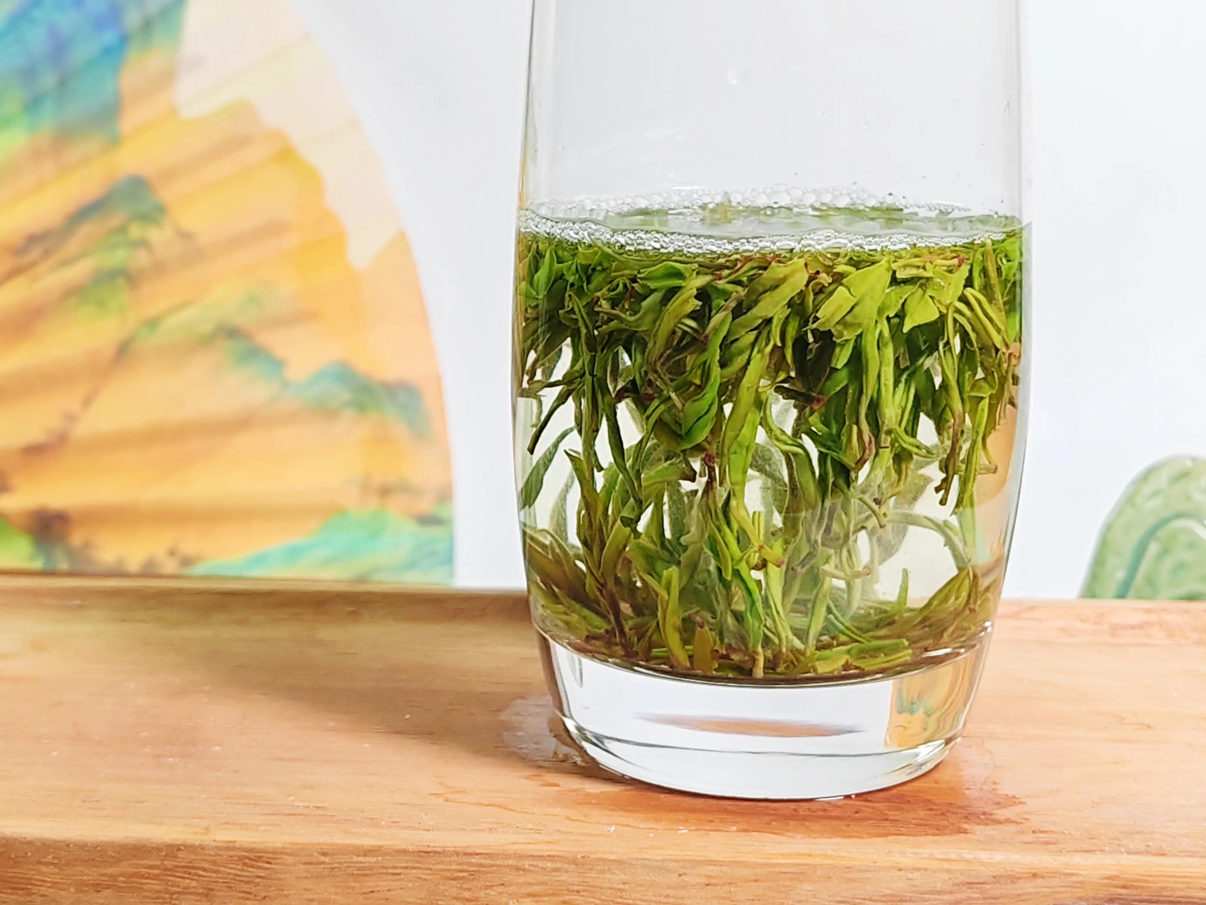 古丈毛尖大赛节目表,古阳河古丈毛尖怎么样