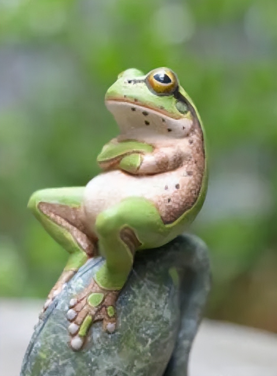 蚊子怕什么的昆虫,蚊子最怕什么动物的害虫