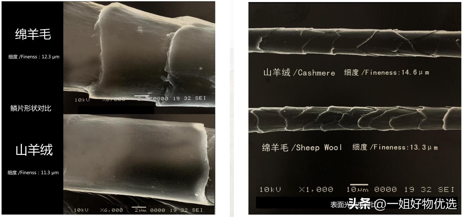 女式围巾哪个牌子好？速速收藏！【独家】