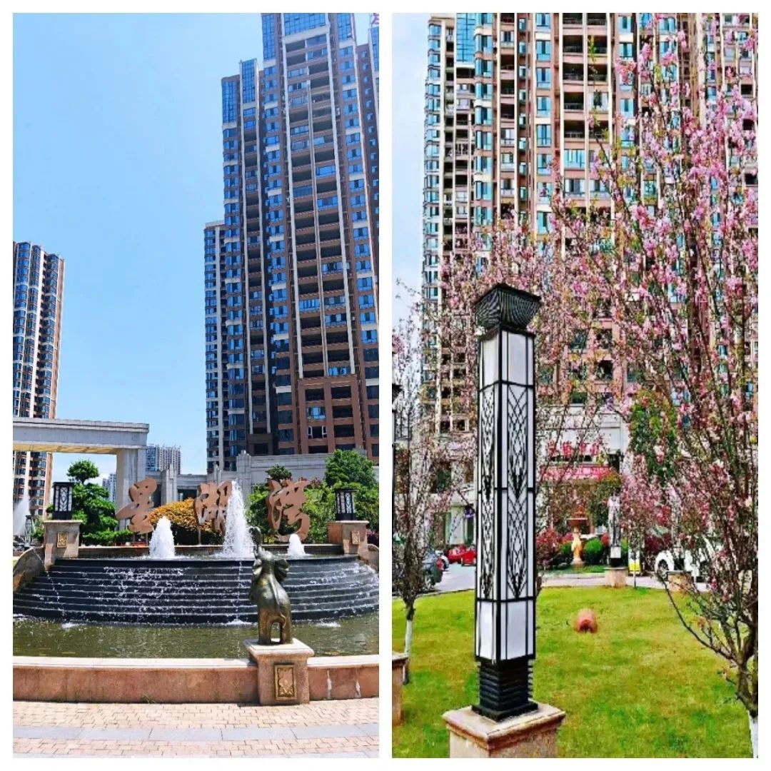 郴州爱莲湖星湖湾楼王,大师兄说楼市