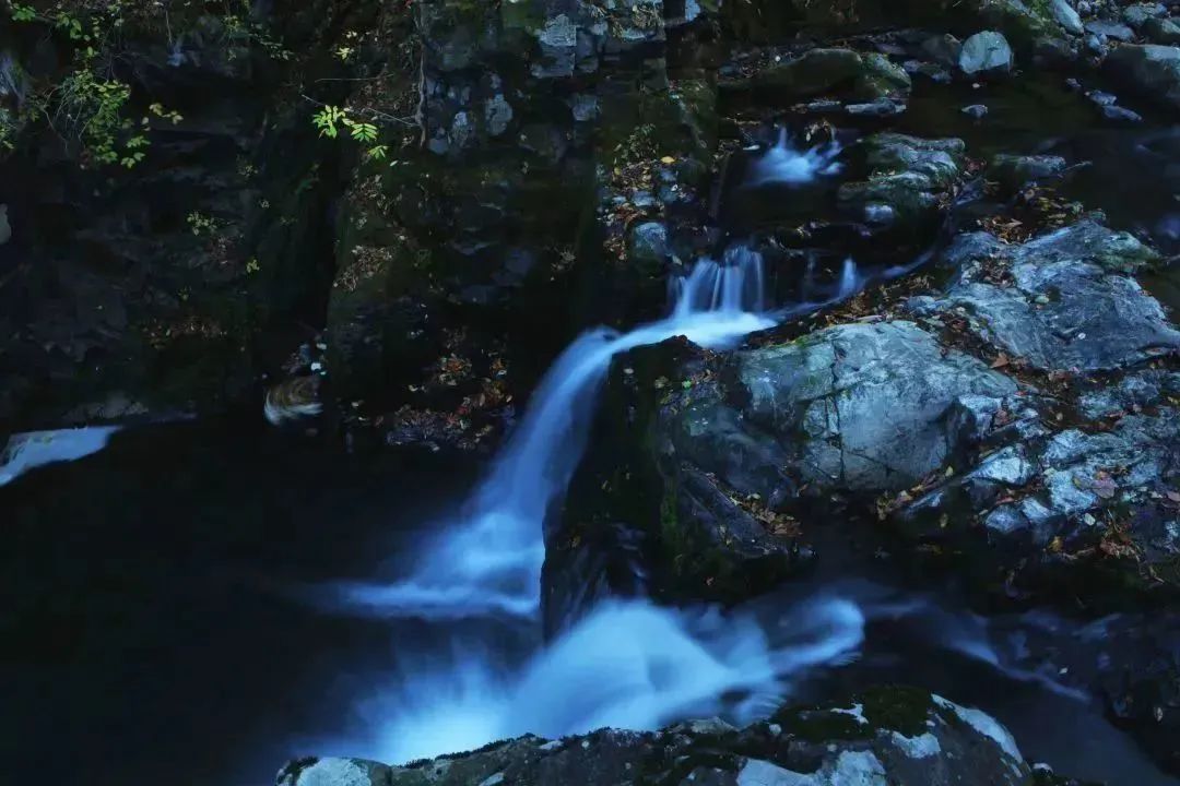 中国旅游日活动是什么,中国旅游日美好出行季