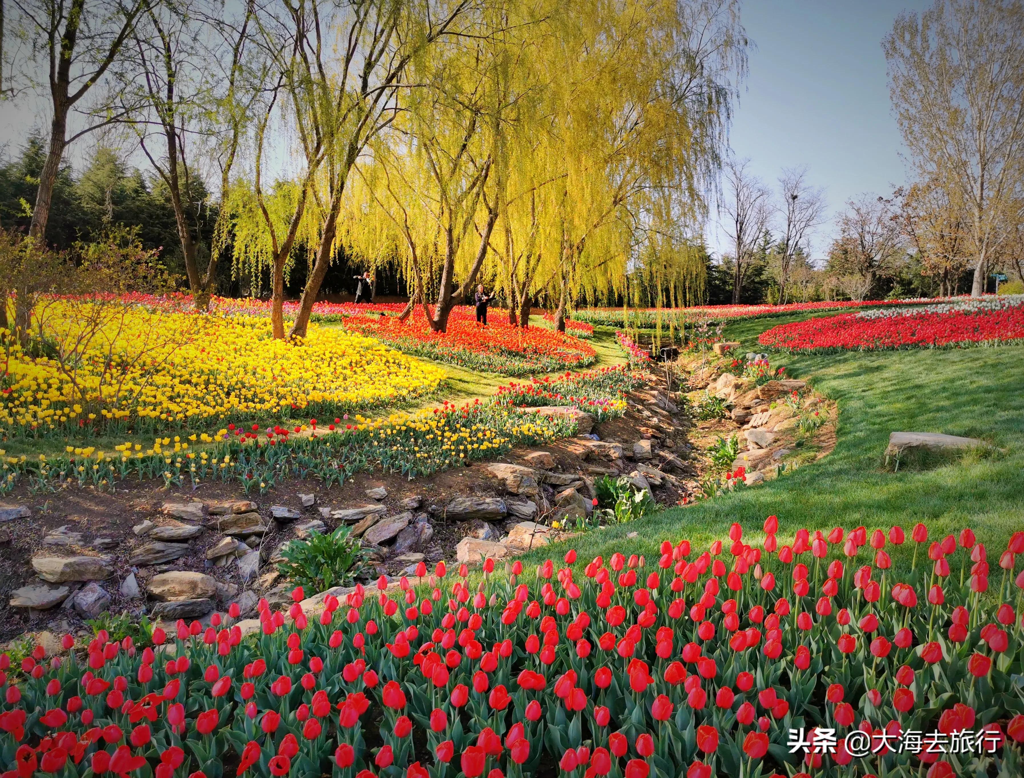 大连亲子游玩好去处,大连暑假亲子游攻略