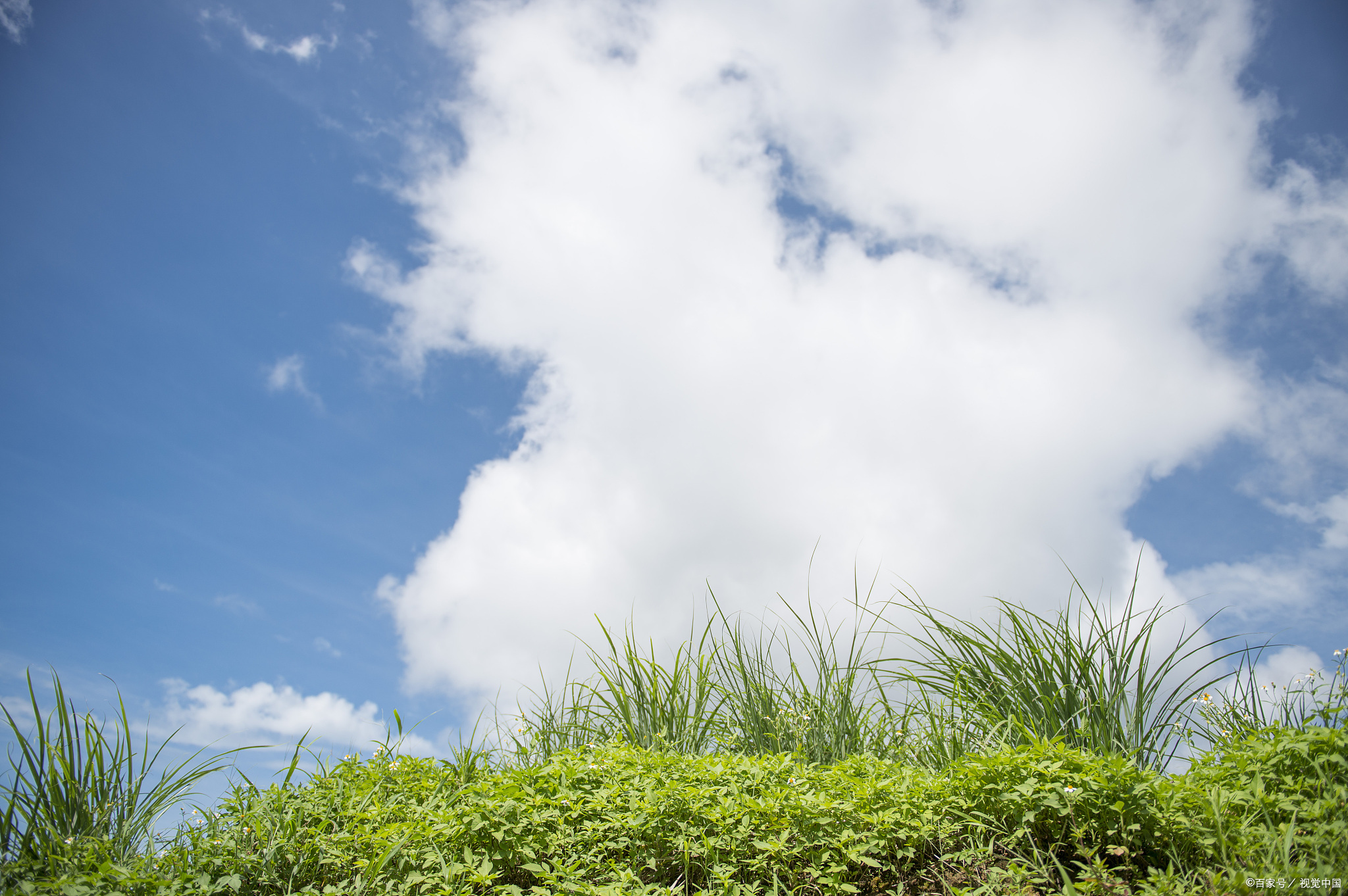 分时t+0买卖点指标源码选股公式,t+0短线操作的最佳买卖战法