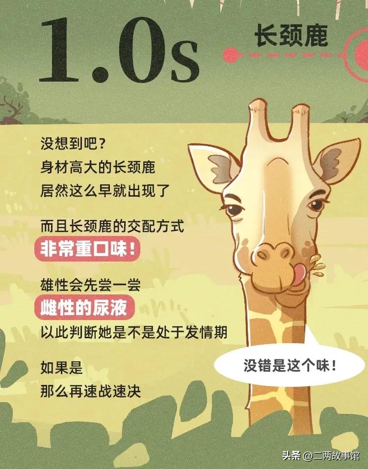 婕敾绻佹畺,婕敾绻佽